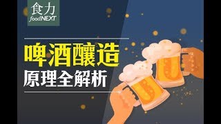 【食科普】啤酒釀造原理全解析 [upl. by Enylekcaj]