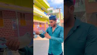 Namaj ke liye tiger ko bheja 😍🕊️ shortvideo youtubeshorts trending viralshort pigeon bird [upl. by Irvin]