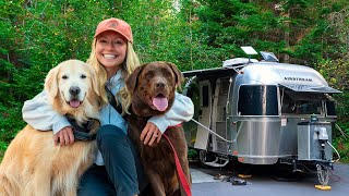 Airstream Life in the Forest with My Two Dogs [upl. by Spike419]