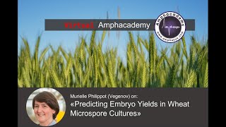 Customer Success Story Predicting Embryo Yields in Wheat Microspore Culture [upl. by Absalom]