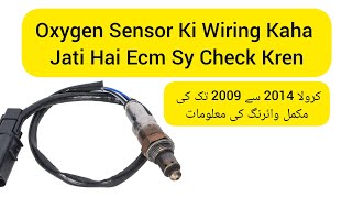 Oxygen Sensor Wiring Diagram All Data Of Oxygen Sensor Oxygen Sensor To Ecm Wiring Diagram [upl. by Thadeus]