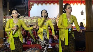 Wayang Kulit Ki Mulyono PW  Wahyu Cakraningrat Bt Apri Mimin Elisha Orcarus dkk [upl. by Milson130]