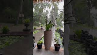 Morning chill rain 🌧️……today trending reels viralvideo karthikdanbilz rain pondicherry [upl. by Ennairrek632]