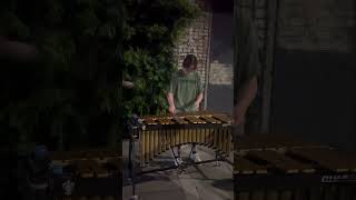 Cingular ringtone vibraphone cover w jirvinemusic [upl. by Chappy]