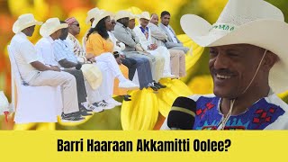 Barri Haaraan Akkamitti Oolee [upl. by Airla81]