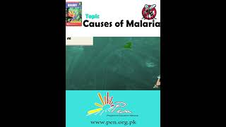 Causes of Malaria part 2 I Biology  Biology penacademy malarialifecycle malaria [upl. by Meikah975]