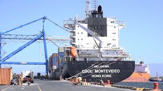 Puertos de Nicaragua Reciben más de 100 mil Toneladas de Carga Internacional 🚢🌍 [upl. by Sneed]