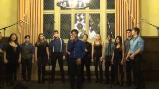 UCLA Medleys A Cappella  2014 ICCA Set Spring Concert 2014 [upl. by Gasparo387]