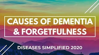 Causes of Dementia and Forgetfulness [upl. by Willet]