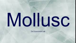 Mollusc Pronunciation How to Say Mollusc  Are You Saying It Right [upl. by Thirza]