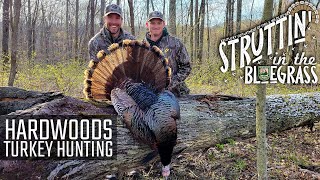 S3 E6  Hardwoods Turkey Hunting [upl. by Sillihp]