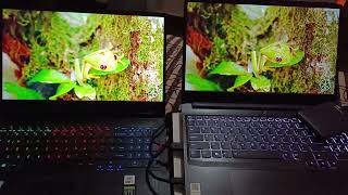 45 NTSC VS 100 sRGB display comparison srgb bestlaptopdisplay [upl. by Dallon]