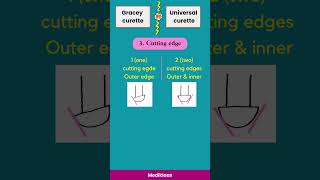 Gracey curette Vs Universal Curette scalinginstruments rootplaning scaler curette dentist [upl. by Eirrol182]