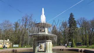 Saint Petersburg Russia Roman fountains Monplaisir alley Peterhof Petrodvortsovy district L [upl. by Mcleod]