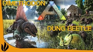 FR ARK Survival Evolved  Dimetrodon amp Dung Beetle [upl. by Denny]