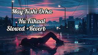 May Kishi Orka Hu Filhaal 😔Heart Broken Slowed Reverb Lofi Song worldsong [upl. by Salis]