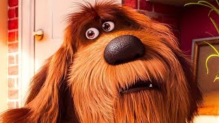 The Secret Life of Pets Trailer 3 Reaction and Review [upl. by Verney]