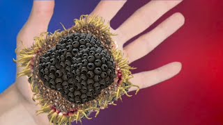 ASMR ANIMATION TREATMENT AND Trypophobia amp Deep Cleaning From infected Hand treatment [upl. by Elatsyrc]