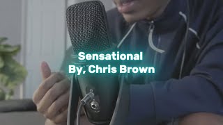 Chris Brown  Sensational  Song Cover By Heemeski [upl. by Nohsyar669]