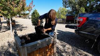 Planting My Parent’s Pots up for Fall 🍁🥰🍂  Garden Answer [upl. by Ahsennek]