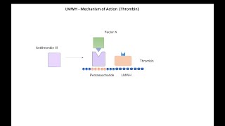 Anticoagulant Drugs Part 2 Low Molecular Weight Heparin [upl. by Aramak]