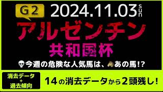 『2024 G2 アルゼンチン共和国杯 消去データ amp 過去傾向 』消去データから2頭残し！ 危険な人気馬は、あの馬！？ [upl. by Hajar]