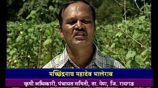 Vegetable Cultivation  फळभाजी लागवड [upl. by Nolita809]