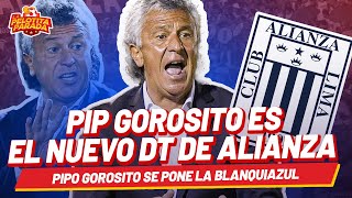 PIPO GOROSITO ES EL NUEVO DT DE ALIANZA LA PELOTITA PARADA ⚽🦵🏳️‍🌈 [upl. by Atnohs]