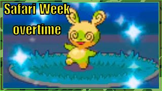 Live Shiny Spinda in the Safari Zone after 18549 REs Pokemon SoulSilver SAFARI WEEK OVERTIME [upl. by Merdith]