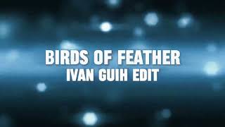 Billie Eilish  Birds of Feather Ivan Guih Breaks Edit [upl. by Nolahp]