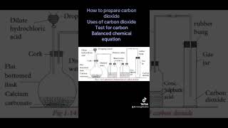 Preparation of carbon dioxide [upl. by Dunton]