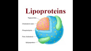 Lipoproteins structure and functions  2024 [upl. by Nnyl]