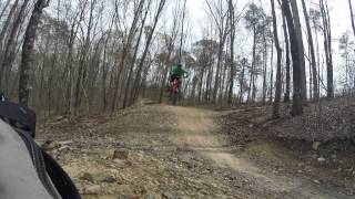 White Oak Biology Trail Collegedale TN Cottontail [upl. by Rocky]