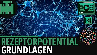 Rezeptorpotential Grundlagen│Biologie Lernvideo│Learning Level Up KI [upl. by Andros]