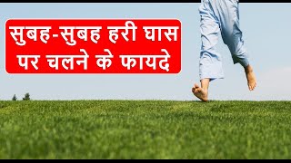 सुबहसुबह हरी घास पर चलने के फायदे  Benefits of walking on green grass early in the morning [upl. by Yekim]