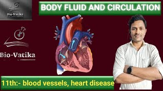 Bio vatika  class  12th  Body fluid and circulation II blood vessels heart disease [upl. by Ellerahc]