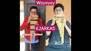 Wayayay  Kjarkas en ZAMPOÑA cover [upl. by Berlyn22]