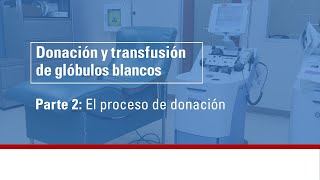 Donación y transfusión de glóbulos blancos  parte 2 el proceso de donación [upl. by Ahsitahs]