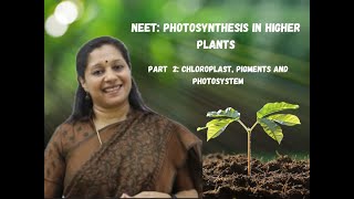 NEET Photosynthesis In Higher Plants Part2 Chloroplast Photosystem Pigements [upl. by Rollie684]