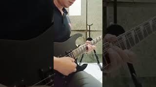 Avenged Sevenfold  Seize The Day solo guitar cover [upl. by Ardeen]