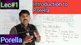 introduction to porella [upl. by Kciv]