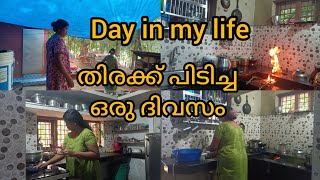 എന്റെ തിരക്ക് പിടിച്ച ഒരു ദിവസംbusy morning routinedaily vlogdivyas kitchen [upl. by Hsak]