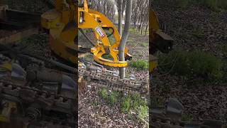 TreeDigging didingmachine treedidingmachine treedidingvideo HeavyMachinery TreeRemoval [upl. by Kecaj20]