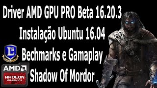 Driver AMD GPU PRO Beta 16203 Ubuntu 1604InstalaçãoBenchmarksGameplayShadowOfMordor [upl. by Schonthal]