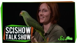 Telepathic Rats and a Redlored Amazon SciShow Talk Show 10 [upl. by Anitac]