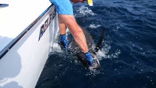 Unbeatable All Inclusive Fishing vacations  El Salvador [upl. by Thad]