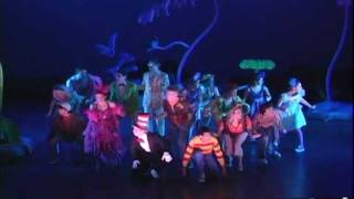 Seussical the Musical Trailer [upl. by Cita]