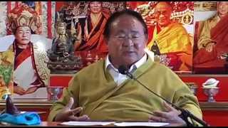 Sogyal Rinpoche  Die Botschaft der Güte [upl. by Naitsabas754]