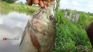 Small reservoir fishing  Big fish  fishing catching videos ytvideo musik barat fishingking [upl. by Anesor]