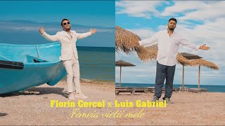 Florin Cercel amp Luis Gabriel  Femeia vietii mele  Official Video [upl. by Joed]